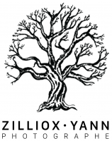 Yann Zilliox